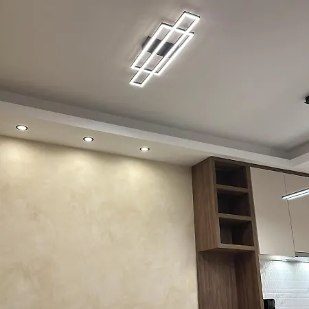 Apartment Lux Park Novi